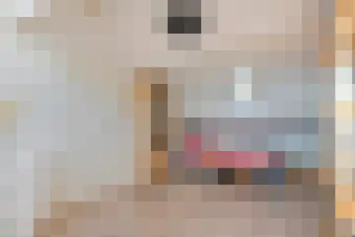 Hooikamp 52 Leerdam thumbnail 34