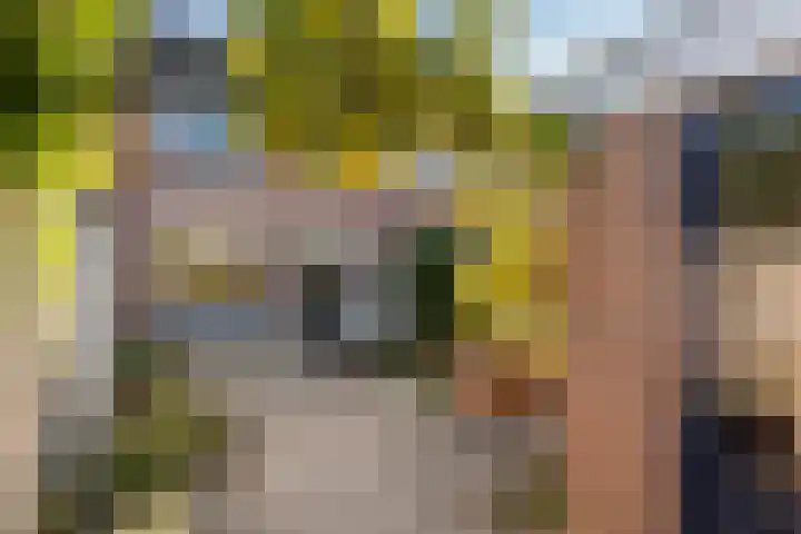 Hooikamp 52 Leerdam thumbnail 4