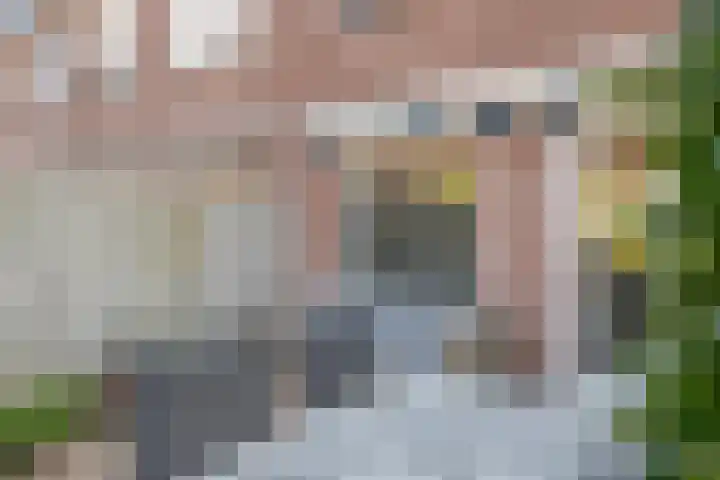 Hooikamp 52 Leerdam thumbnail 40