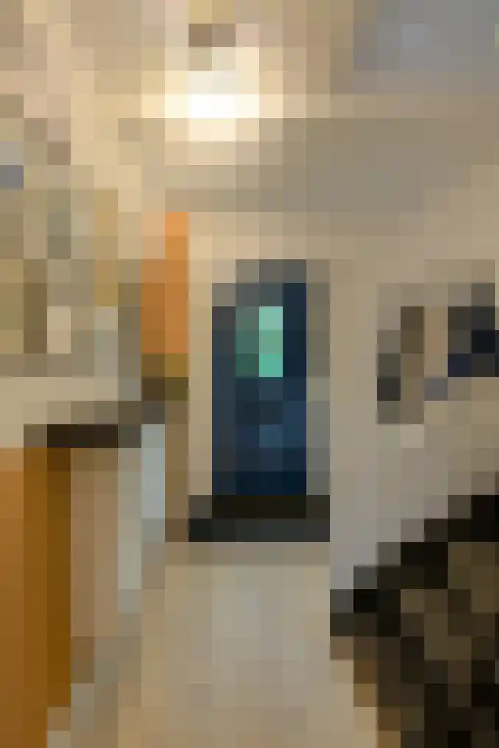 Hooilaan 104 Breda thumbnail 10