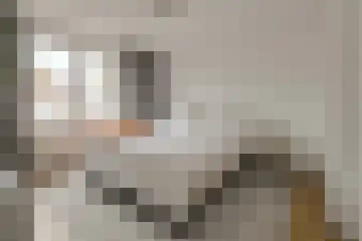 Hooilaan 104 Breda thumbnail 26