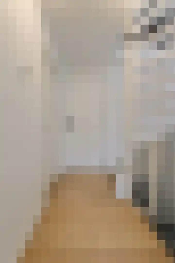 Hooilaan 104 Breda thumbnail 38