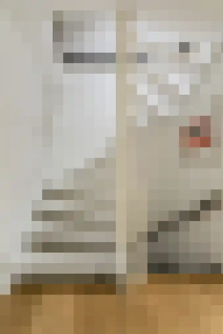 Hooilaan 104 Breda thumbnail 39