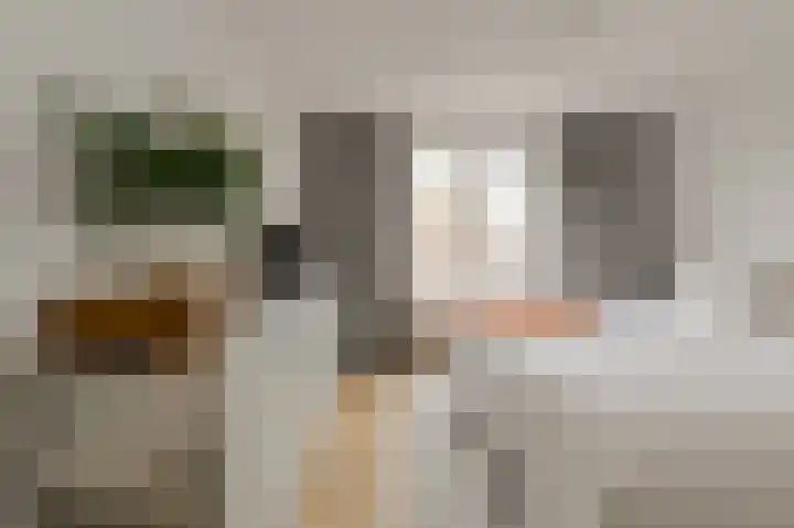 Hooilaan 104 Breda thumbnail 4