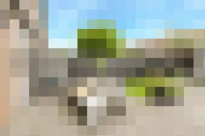 Hooilaan 104 Breda thumbnail 45