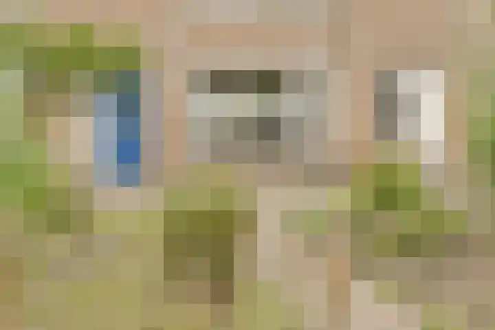 Hooilaan 104 Breda thumbnail 7