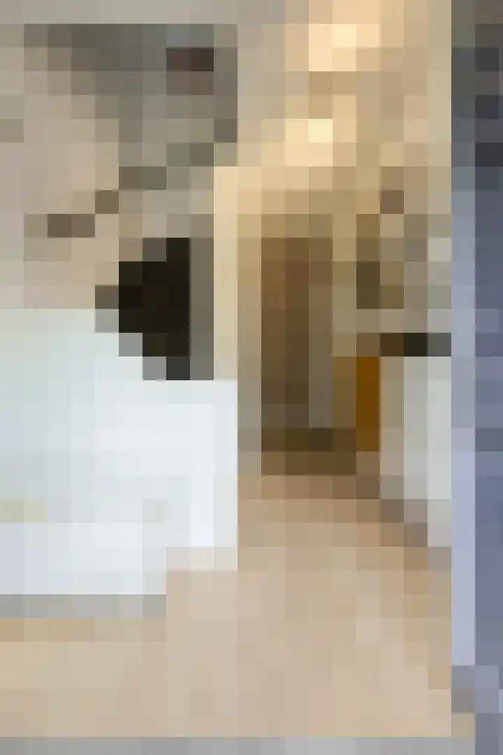 Hooilaan 104 Breda thumbnail 8
