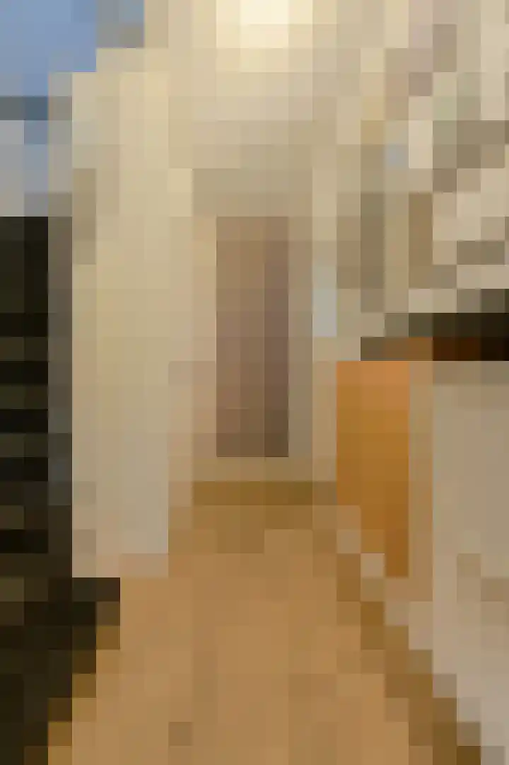 Hooilaan 104 Breda thumbnail 9