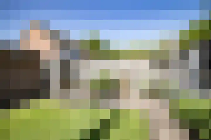 Hooiland 129 Wierden thumbnail 37