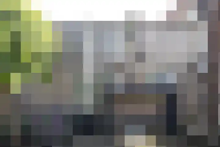 Hooiland 129 Wierden thumbnail 38