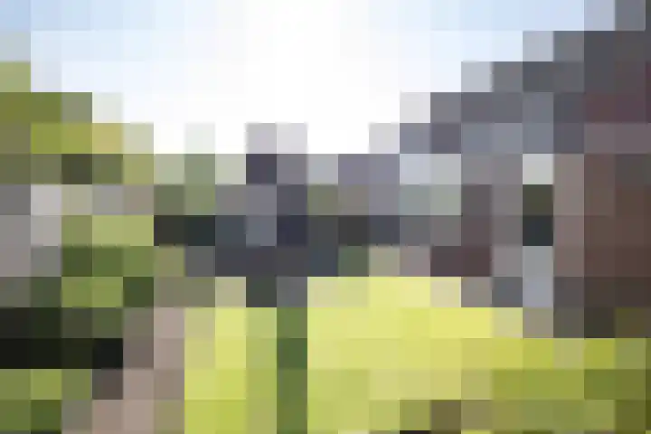 Hooiland 129 Wierden thumbnail 4