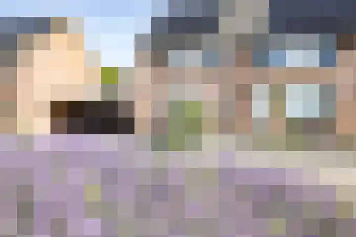 Hooiland 129 Wierden thumbnail 43