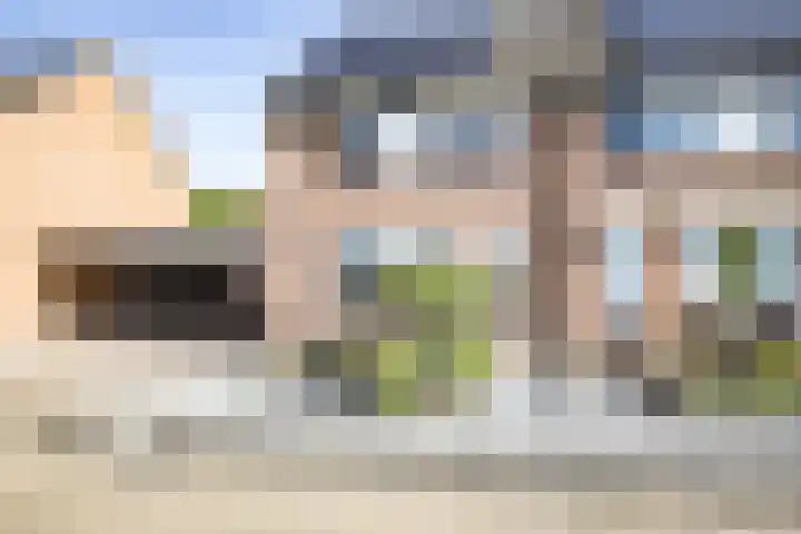 Hooiland 129 Wierden thumbnail 6
