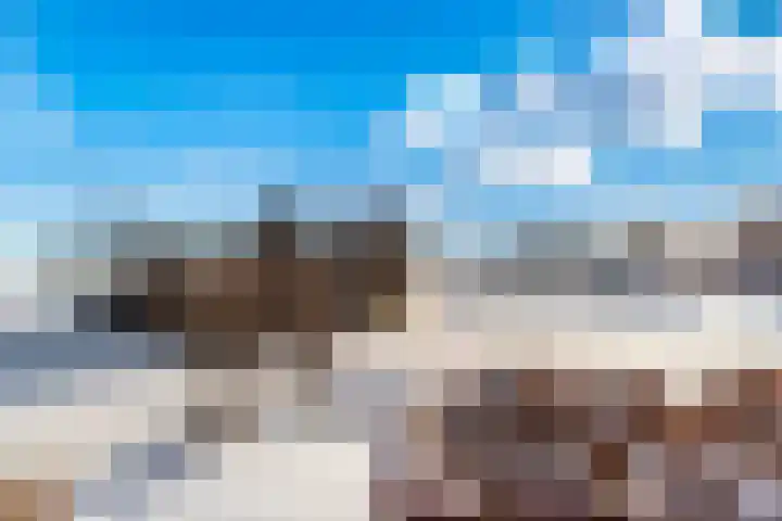 Hooiland 16 Stolwijk thumbnail 25