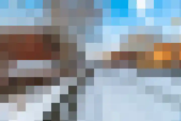 Hooiland 16 Stolwijk thumbnail 43