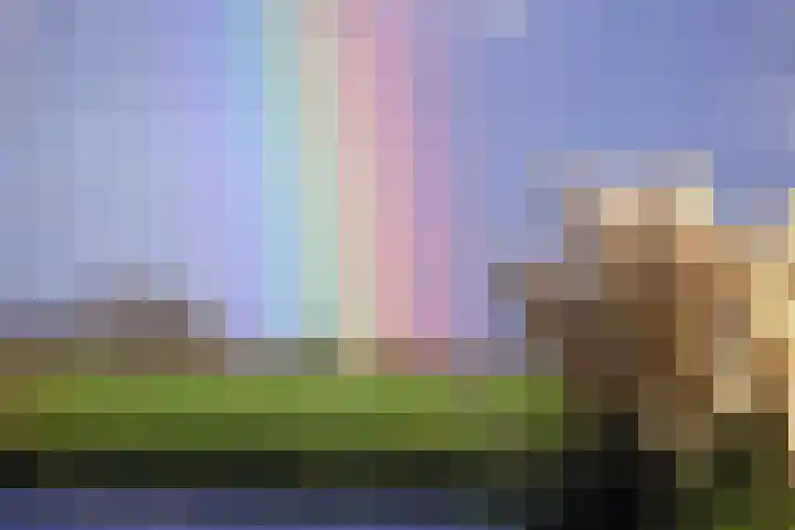 Hooiland 16 Stolwijk thumbnail 52