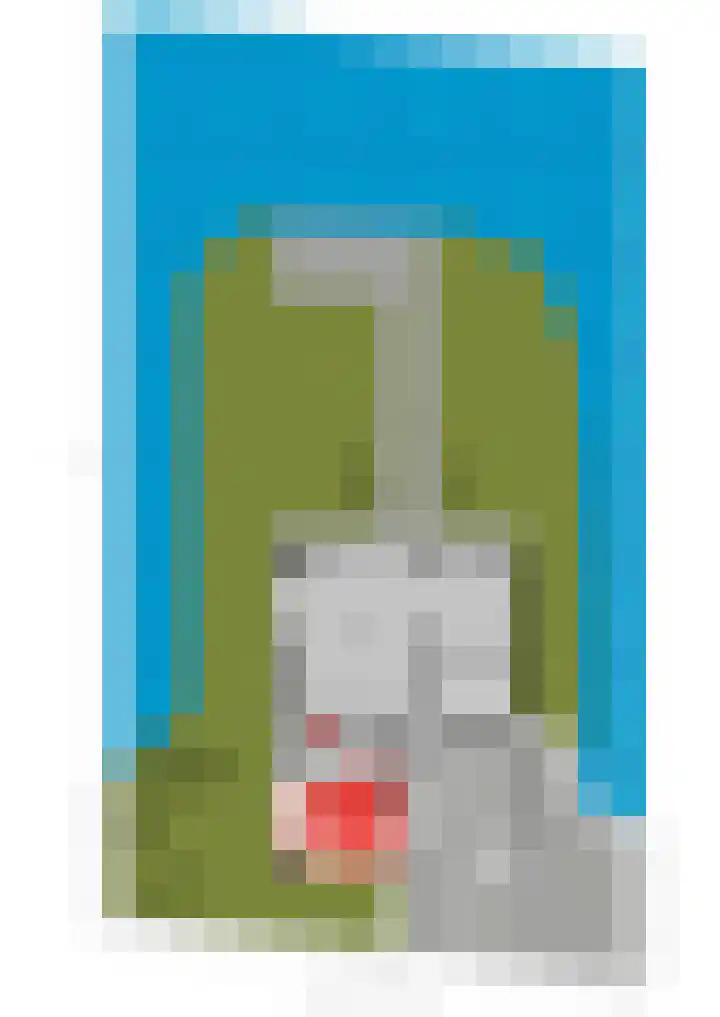 Hooiland 16 Stolwijk thumbnail 56