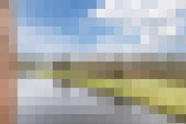 Hooiland 19 Drachten thumbnail 29