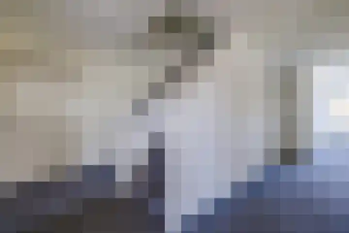 Hooiland 23 Drachten thumbnail 7