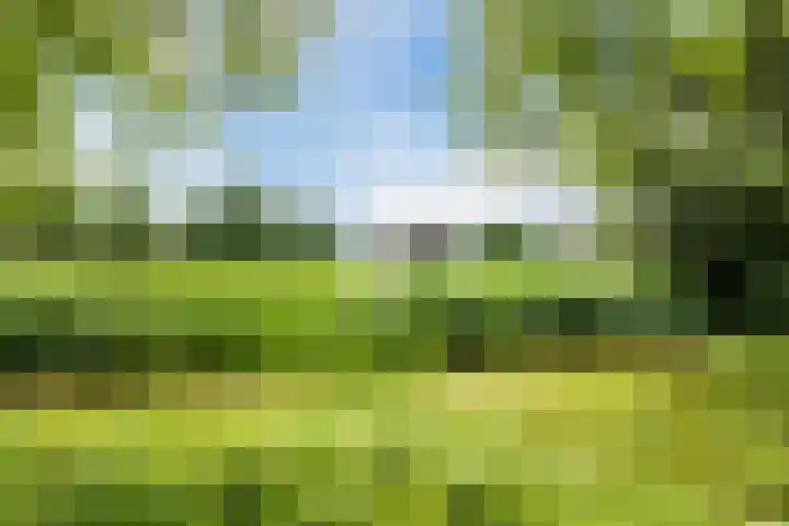 Hooiland 25 Drachten thumbnail 32