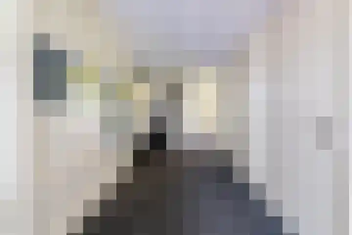 Hooiland 25 Drachten thumbnail 5