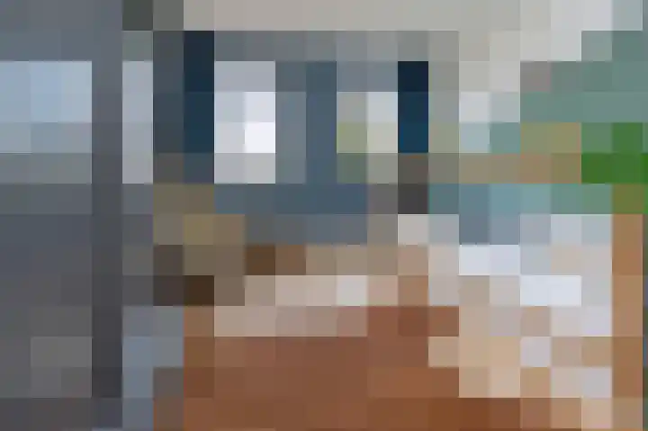 Hooimate 26 Brummen thumbnail 14