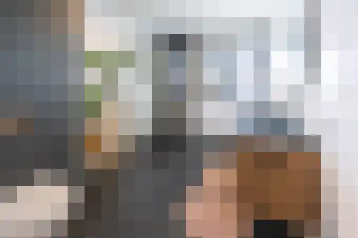 Hooimate 26 Brummen thumbnail 17