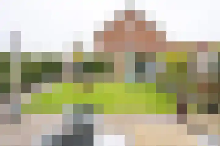 Hooimate 26 Brummen thumbnail 28