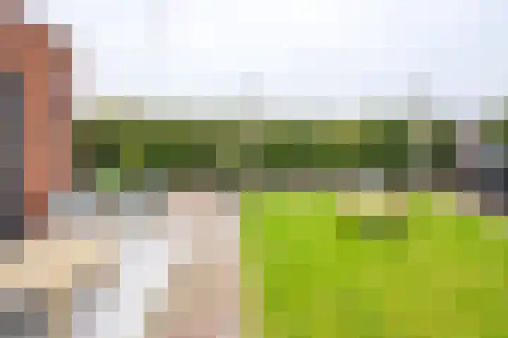 Hooimate 26 Brummen thumbnail 31
