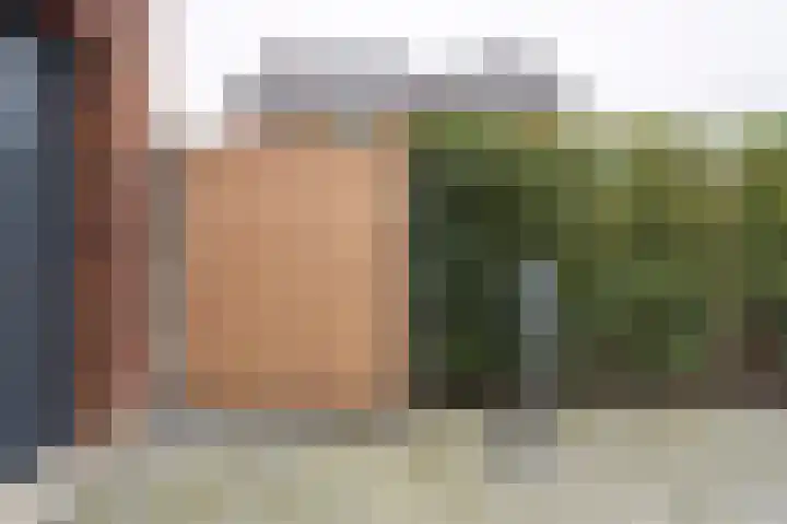 Hooimate 26 Brummen thumbnail 33