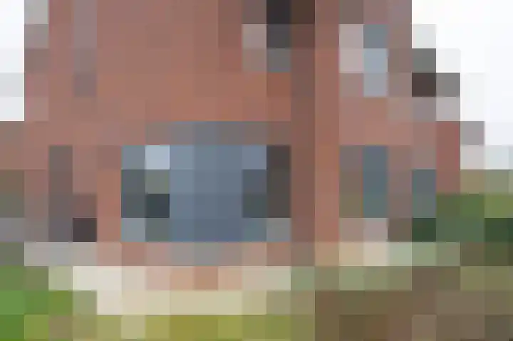 Hooimate 26 Brummen thumbnail 34