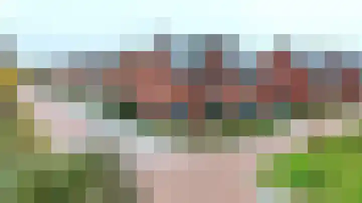 Hooimate 26 Brummen thumbnail 38