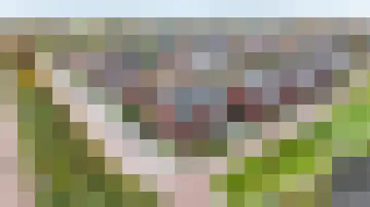 Hooimate 26 Brummen thumbnail 39