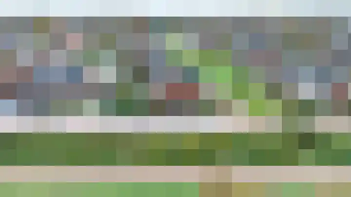 Hooimate 26 Brummen thumbnail 40