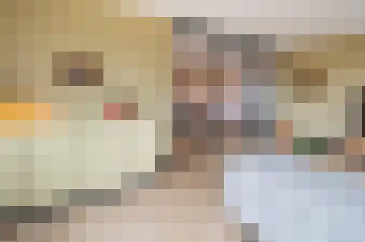 Hooimate 26 Brummen thumbnail 6