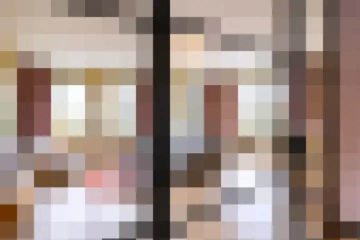 Hooimate 26 Brummen thumbnail 8