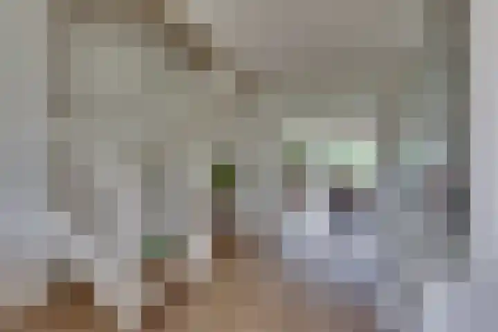 Hooiweide 6 Harfsen thumbnail 12