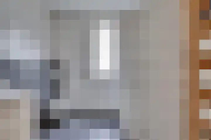 Hooiweide 6 Harfsen thumbnail 16