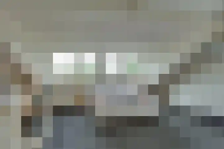 Hooiweide 6 Harfsen thumbnail 18