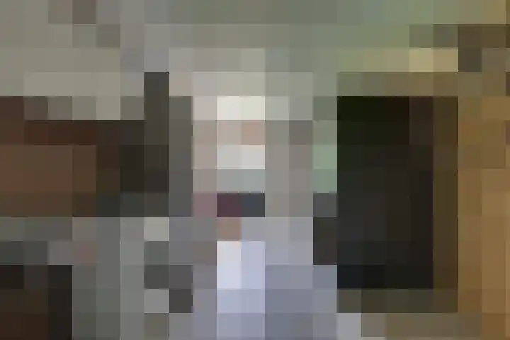 Hooiweide 6 Harfsen thumbnail 19