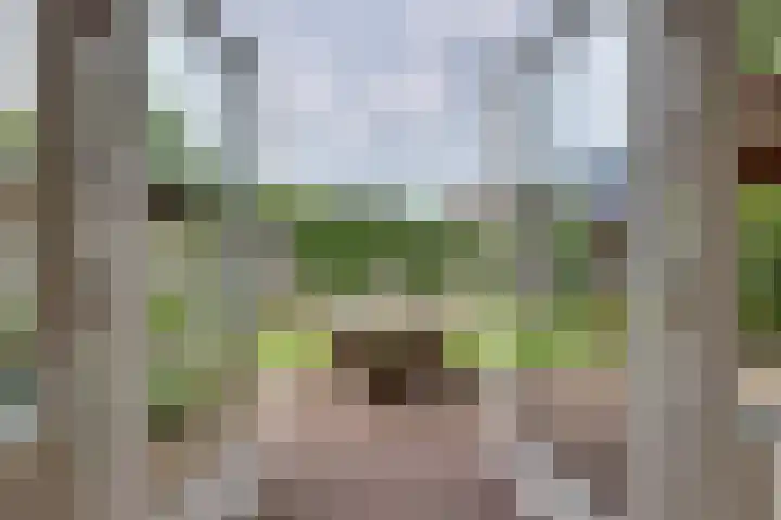 Hooiweide 6 Harfsen thumbnail 20