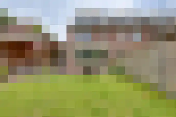 Hooiweide 6 Harfsen thumbnail 23