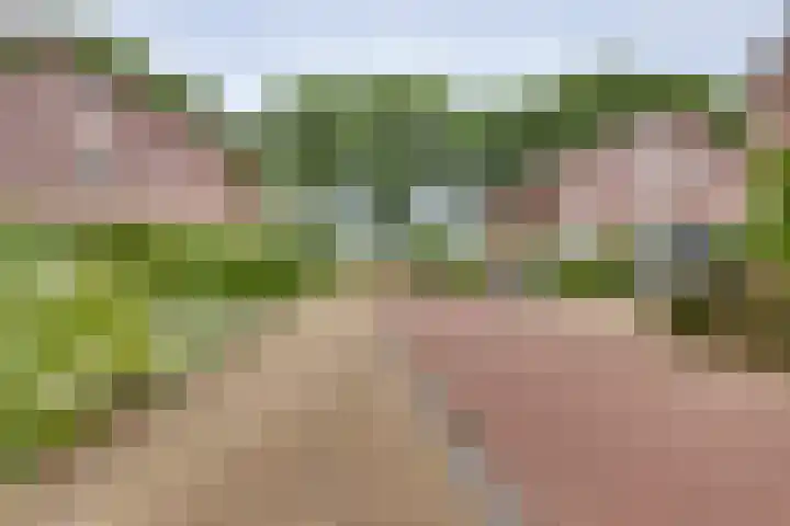 Hooiweide 6 Harfsen thumbnail 24