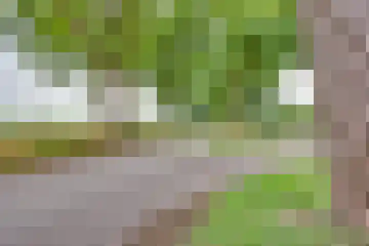 Hooiweide 6 Harfsen thumbnail 25