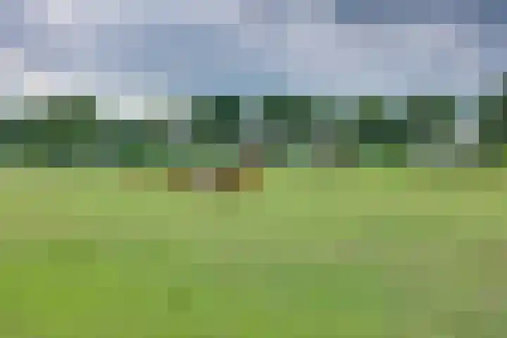 Hooiweide 6 Harfsen thumbnail 26