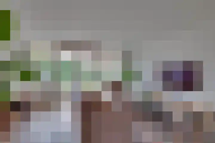 Hooiweide 6 Harfsen thumbnail 4