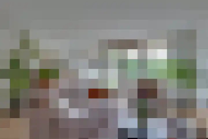 Hooiweide 6 Harfsen thumbnail 5