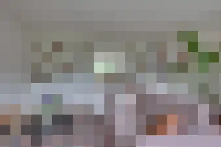 Hooiweide 6 Harfsen thumbnail 6
