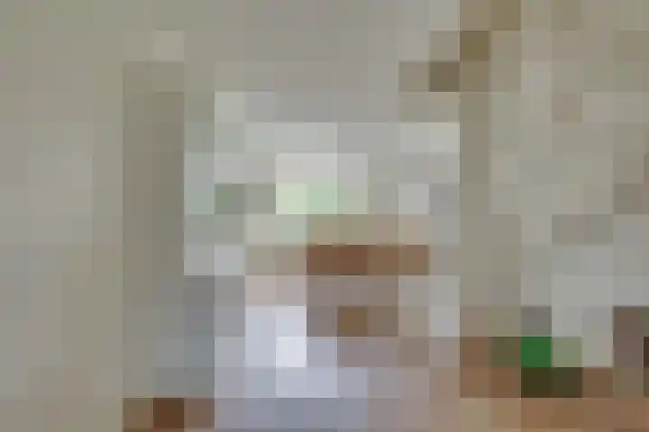 Hooiweide 6 Harfsen thumbnail 7