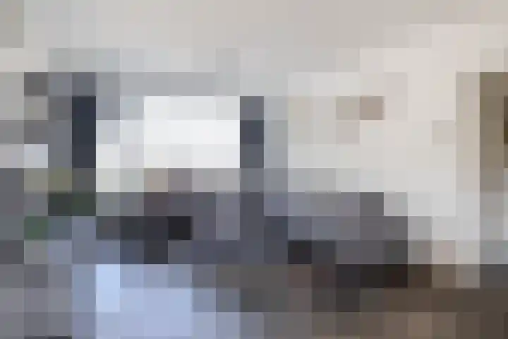Hoolhof 48 Eersel thumbnail 10